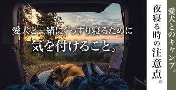 愛犬とのキャンプで寝る時に気を付けること