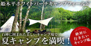 長野県おすすめのキャンプ場！姫木平ホワイトバーチキャンプフィールドの白樺の森が届ける唯一無二の世界で過ごそう