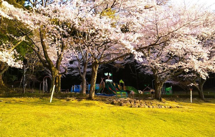 三重県が誇る自然を味わえる！松阪市森林公園キャンプ場8