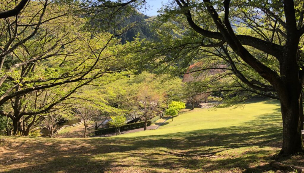 三重県が誇る自然を味わえる！松阪市森林公園キャンプ場1