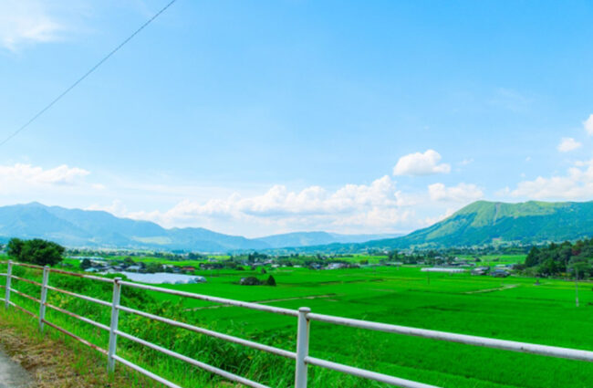 「空き家ゲートウェイ」で理想のスローライフの第一歩を踏み出そう